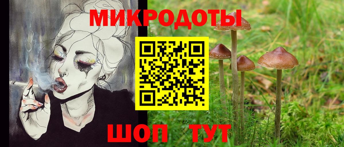 Псилоцибиновые грибы прущие грибы  Вход с VPN  Елабуга 